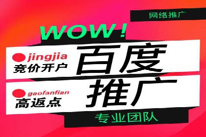百度竞价入门必看：实操技巧与成功案例
