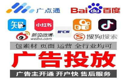 搜索引擎营销（SEM）的投放策略与效果评估——以某行业领先企业的案例分析